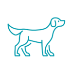 Hunde-Icon petsearch.ch