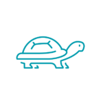 Schildkröten-Icon petsearch.ch