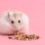 petsearch Blog Hamster füttern